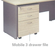 Regent Mobile 2 File Drawer 470Wx460Dx667H